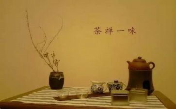 禅与狐狸的读后感5篇