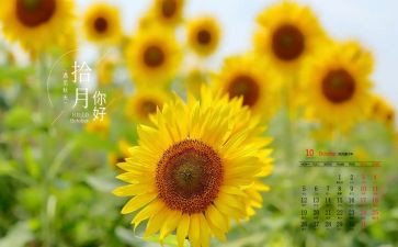 班级10月工作计划7篇