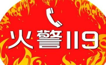 119消防活动方案模板6篇