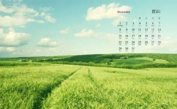 12月日活动总结精选5篇