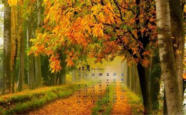 12月党日活动总结7篇
