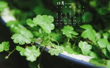12月的销售工作计划6篇