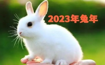 2023综治工作总结报告6篇