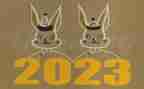 2023年爱国卫生月活动总结报告6篇
