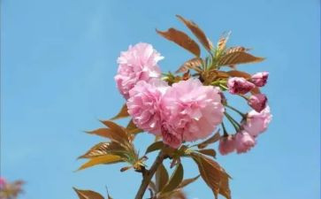 1至2月安全生产工作总结模板7篇