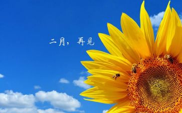 1至2月安全生产工作总结7篇