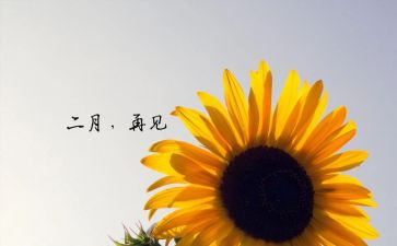 幼儿园2月份工作总结字8篇