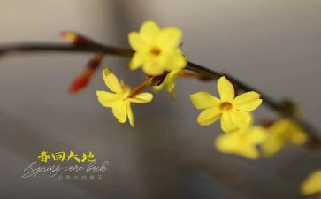 幼儿园2月计划5篇