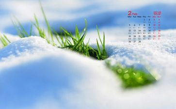 财务2月工作总结7篇