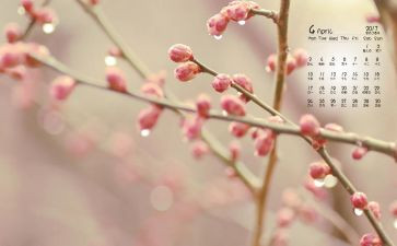 教师4月份工作计划6篇