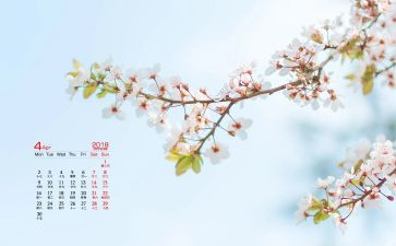 2023大班4月工作计划6篇