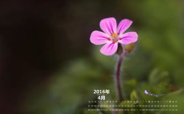 销售4月工作计划范文6篇