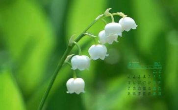 大班4月份保育工作计划7篇