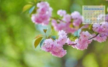 幼儿园中班4月份工作总结5篇