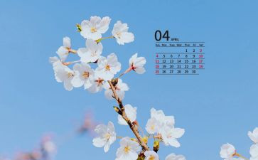 幼儿园4月份个人总结8篇