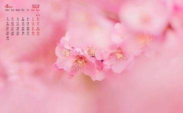 14月工作计划最新8篇