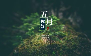 5月份安全总结全总结7篇
