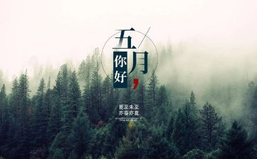 个人5月工作计划优秀6篇