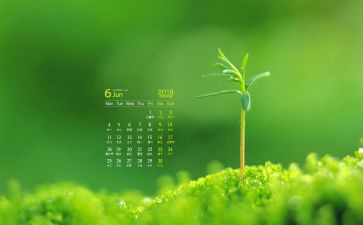 中班6月份工作总结5篇