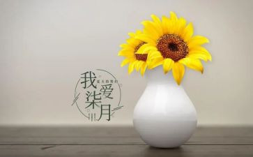 幼儿园中班7月份工作总结8篇