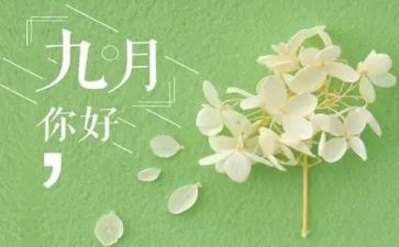 9月幼儿园小班工作总结6篇