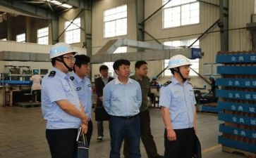 党安监局工作总结参考5篇