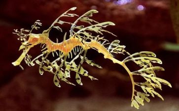 高中生物教研工作计划7篇