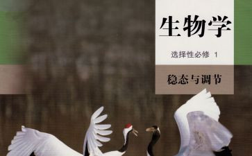 生物组备课组工作计划7篇