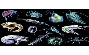 八上生物教师工作总结通用6篇
