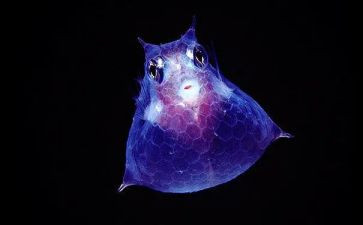 生物技术心得体会5篇