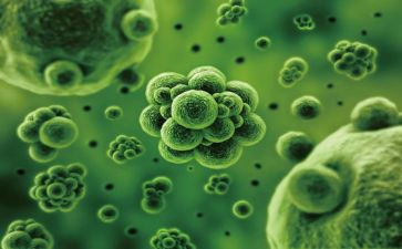 高中生物教师年度考核个人总结8篇