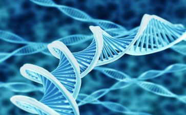初二上生物教师工作总结8篇