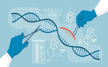 生物小调查报告5篇