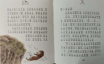 斑羚飞渡读后感通用5篇