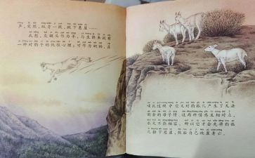斑羚飞渡读后感400字8篇