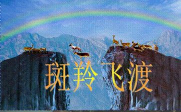 斑羚飞渡读后感优质6篇