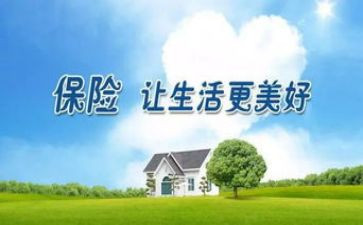 保险公司2024年述职报告参考6篇