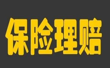 保险半年度工作总结优秀5篇
