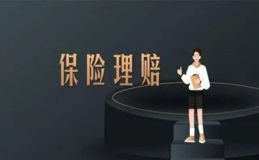 保险公司2024年工作总结6篇