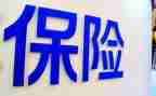 保险公司个人年终总结模板6篇