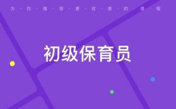 保育工作工作总结和工作计划8篇