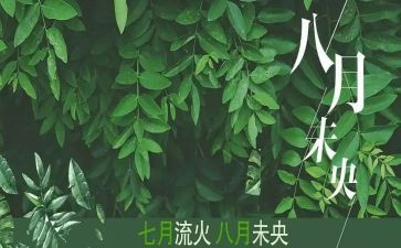 2023年八月份工作总结6篇