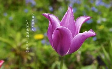 八月份工作总结优质8篇