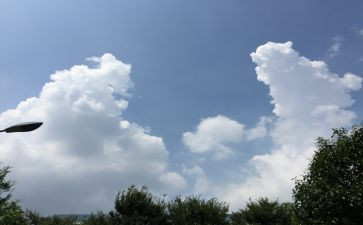 改革开放的变化作文5篇