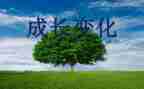 沈阳的变化作文6篇