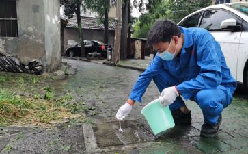 病媒生物的工作计划7篇