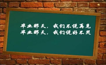 毕设工作总结模板7篇