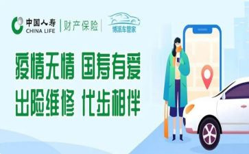 财险个人总结6篇