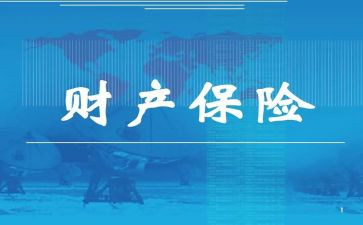 人保财险年终工作总结5篇