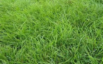 《草船借箭》的教案参考7篇